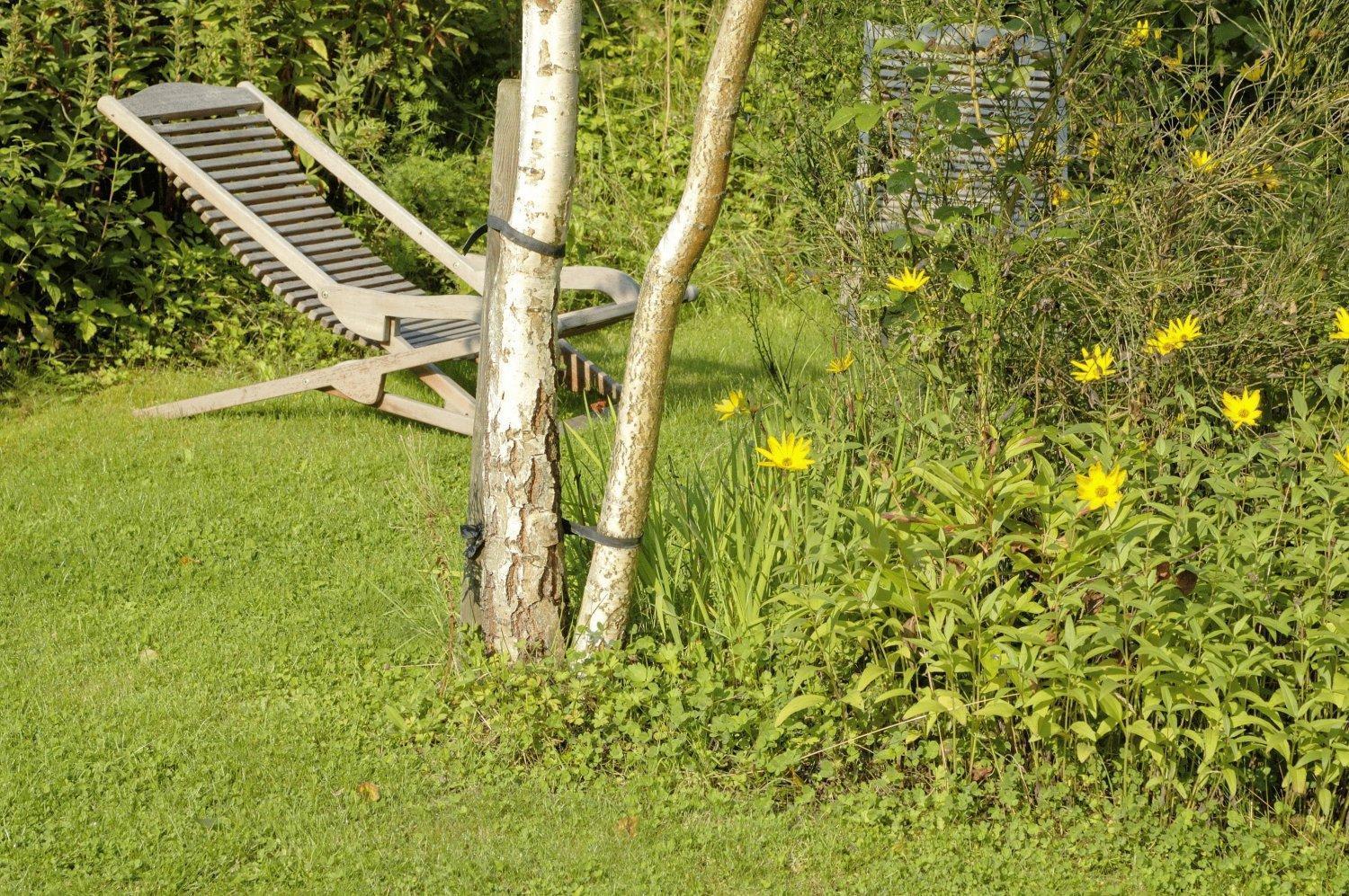 B&B Le Clos De La Fontaine Chéoux Exteriör bild